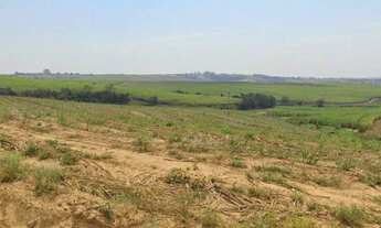 Imagem: EXCELENTE FAZENDA EM CANA A VENDA - LOCALIZADA