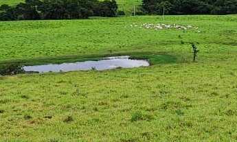 Imagem 7: EXCELENTE SÍTIO A VENDA EM ITAPETININGA-SP* ?? Área Total de 29,52 Hectares ou 12,19 Al