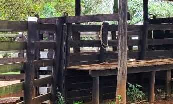 Imagem 4: EXCELENTE SÍTIO A VENDA EM ITAPETININGA-SP* ?? Área Total de 29,52 Hectares ou 12,19 Al