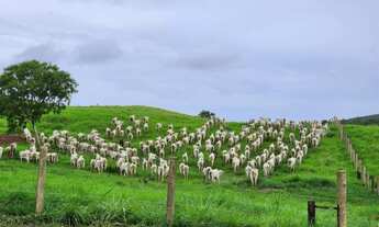 Imagem 5: Fazenda de 238 Alqueires, em Pirenópolis Goiás. 5 km do povoado de Malhador e do asfalt