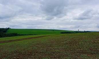 Imagem: EXCELENTE FAZENDA A VENDA EM SANTA CRUZ
