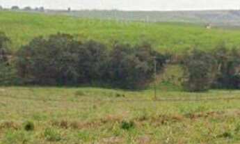 Imagem 5: EXCELENTE FAZENDA EM CANA A VENDA - LOCALIZADA NA REGIÃO DE PORTO FELIZ - SP* ?? - Ár