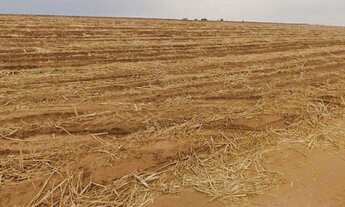 Imagem 7: EXCELENTE FAZENDA EM CANA A VENDA - LOCALIZADA NA REGIÃO DE PORTO FELIZ - SP* ?? - Ár