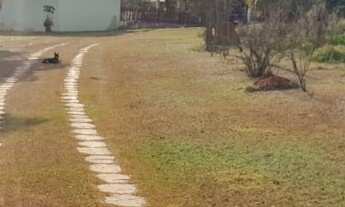 Imagem: Sitio 25 mil metros em boituva ao lado de