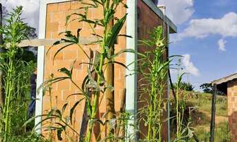 Imagem 3: Chácara à venda em São Miguel Arcanjo-SP, Zona Rural: 1 quarto, 1 sala, 1 banheiro, 70m² d