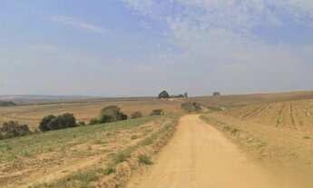 Imagem 4: EXCELENTE FAZENDA EM CANA A VENDA - LOCALIZADA NA REGIÃO DE PORTO FELIZ - SP* ?? - Ár