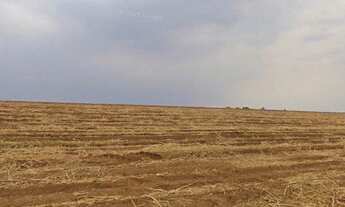 Imagem 2: EXCELENTE FAZENDA EM CANA A VENDA - LOCALIZADA NA REGIÃO DE PORTO FELIZ - SP* ?? - Ár