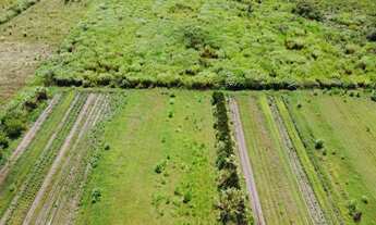 Imagem 4: Terreno de 20.000m² em condomínio à venda em Aguas Claras-DF, Park Way: sua oportunidade d