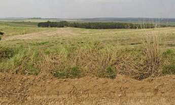 Imagem 6: EXCELENTE FAZENDA EM CANA A VENDA - LOCALIZADA NA REGIÃO DE PORTO FELIZ - SP* ?? - Ár