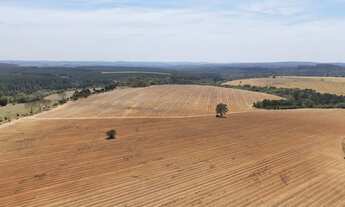 Imagem 6: EXCELENTE FAZENDA A VENDA EM ITAPETININGA-SP* ?? Área Total: 128,3 Hectares ou 53 Alqu