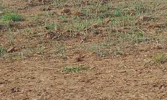 Imagem: Linda propriedade à venda em Tatuí-SP