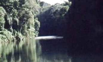 Imagem 5: ÁREA DE MATA ATLÂNTICA A VENDA NO ESTADO DE SÃO PAULO* ?? Localização: Iporanga-SP / V