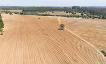Imagem 5: EXCELENTE FAZENDA A VENDA EM ITAPETININGA-SP* ?? Área Total: 128,3 Hectares ou 53 Alqu