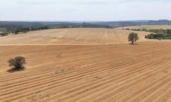 Imagem 7: EXCELENTE FAZENDA A VENDA EM ITAPETININGA-SP* ?? Área Total: 128,3 Hectares ou 53 Alqu