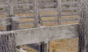 Imagem 3: Sitio 26 alqueire em porangaba não tem casa só pasto, não aceita permuta valor 3.900,000