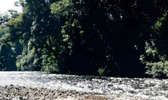 Imagem 2: ÁREA DE MATA ATLÂNTICA A VENDA NO ESTADO DE SÃO PAULO* ?? Localização: Iporanga-SP / V