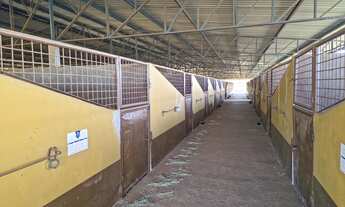 Imagem 5: EXCELENTE HARAS A VENDA EM TATUÍ-SP* ?? ? Area Total: 101,00 Hectares ou 42 Alqueires