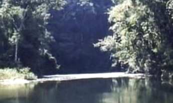 Imagem 4: ÁREA DE MATA ATLÂNTICA A VENDA NO ESTADO DE SÃO PAULO* ?? Localização: Iporanga-SP / V