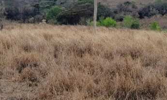 Imagem 6: Sitio 26 alqueire em porangaba não tem casa só pasto, não aceita permuta valor 3.900,000