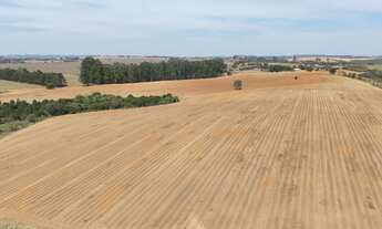 Imagem 2: EXCELENTE FAZENDA A VENDA EM ITAPETININGA-SP* ?? Área Total: 128,3 Hectares ou 53 Alqu
