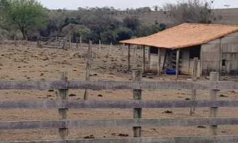 Imagem: Sitio 26 alqueire em porangaba não tem