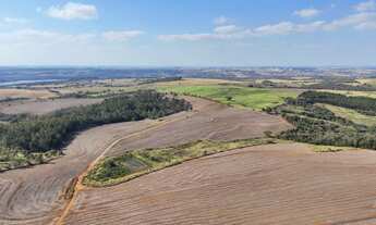 Imagem: EXCELENTE FAZENDA EM CANA A VENDA EM TATUÍ