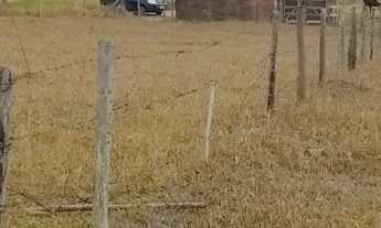 Imagem 7: Fazenda em bofete 59 alqueires Próximo a castelo Branco Casa sede 200 metros de construção