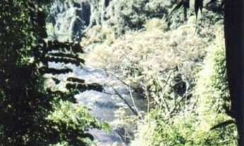 Imagem 6: ÁREA DE MATA ATLÂNTICA A VENDA NO ESTADO DE SÃO PAULO* ?? Localização: Iporanga-SP / V