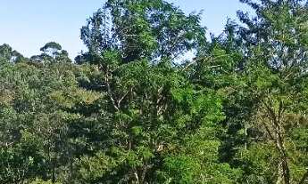 Imagem 2: Terreno em Condomínio à Venda em Itatiba-SP, Bairro Jardim das Paineiras, 756m² de Área