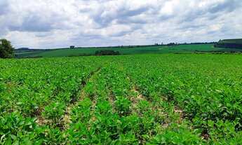 Imagem 3: Propriedade rural à venda em Itapetininga-SP: 2 quartos, 1 sala, 1 banheiro, 2 vagas de ga