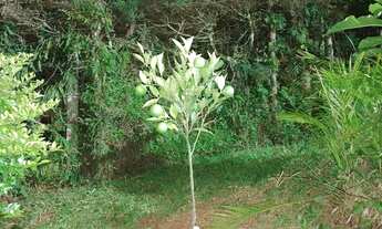 Imagem 3: Casa de luxo em condomínio no Centro de Morungaba-SP: 4 quartos, 2 suítes, 1 sala, 3 banhe