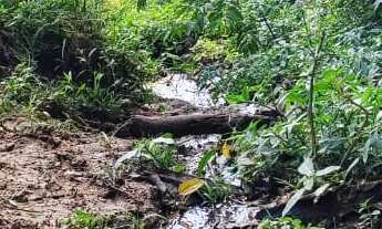 Imagem 5: EXCELENTE SÍTIO A VENDA EM ITAPETININGA-SP ?? Área Total: 5 Alqueires Pastagem: 4 Alqu