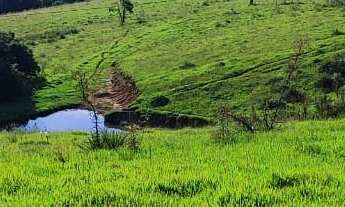 Imagem 4: EXCELENTE SÍTIO A VENDA EM ITAPETININGA-SP ?? Área Total: 5 Alqueires Pastagem: 4 Alqu