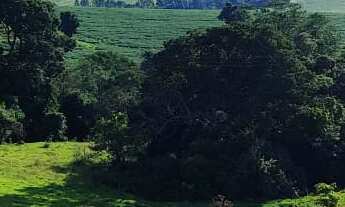 Imagem 3: EXCELENTE SÍTIO A VENDA EM ITAPETININGA-SP ?? Área Total: 5 Alqueires Pastagem: 4 Alqu