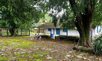 Imagem: Luziania 21 alqueires. 10 km de chão. 13