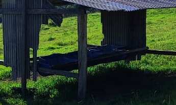 Imagem 2: EXCELENTE SÍTIO A VENDA EM ITAPETININGA-SP ?? Área Total: 5 Alqueires Pastagem: 4 Alqu