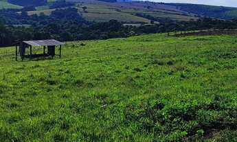 Imagem 6: EXCELENTE SÍTIO A VENDA EM ITAPETININGA-SP ?? Área Total: 5 Alqueires Pastagem: 4 Alqu