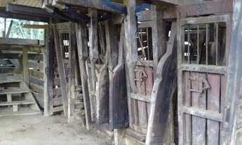 Imagem 4: FAZENDA NA PECUÁRIA A VENDA NO ESTADO DO PARANÁ - PR ?? Área Total: 421 Alqueires ou 1