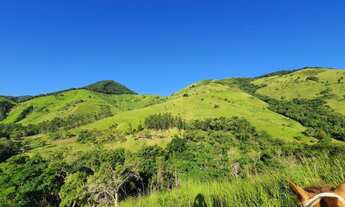 Imagem 7: FAZENDA NA PECUÁRIA A VENDA NO ESTADO DO PARANÁ - PR ?? Área Total: 421 Alqueires ou 1