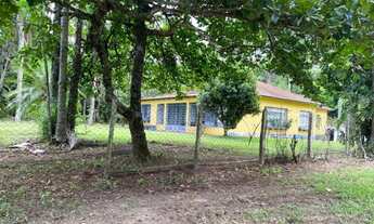 Imagem: EXCELENTE FAZENDA A VENDA EM AVARÉ - SP