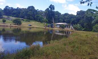 Imagem 4: Um lindo sítio de 32 alqueires em pilar do Sul ,+ou _ a 10 km da cidade e a 4 km do asfal