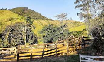 Imagem 2: FAZENDA NA PECUÁRIA A VENDA NO ESTADO DO PARANÁ - PR ?? Área Total: 421 Alqueires ou 1