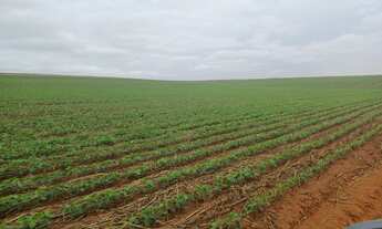 Imagem 5: EXCELENTE FAZENDA A VENDA EM ITABERÁ - SP* ?? *LOCALIZADA EM UMA DAS MELHORES REGIÕES