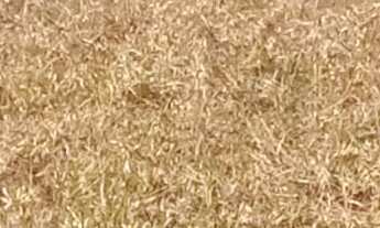 Imagem: Sitio à venda em Lavras-MG, Zona Rural