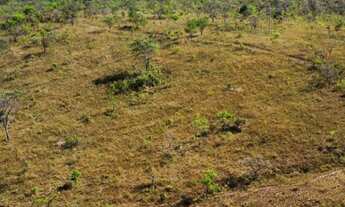 Imagem 5: Fazenda Disponível pra Venda no município de Luziania. Goiás 130...Alqueires...Tríplice Ap