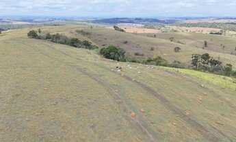 Imagem 4: EXCELENTE FAZENDA A VENDA NA REGIÃO DE SOROCABA-SP* ?? Formação: Agricultura e Pecuária