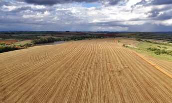 Imagem 6: EXCELENTE SÍTIO A VENDA NA REGIÃO DE TATUÍ-SP* ?? Formação: Agricultura e Pecuária