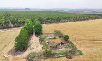 Imagem: EXCELENTE FAZENDA A VENDA NA REGIÃO DE