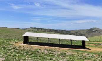 Imagem 2: EXCELENTE FAZENDA A VENDA EM CAPÃO BONITO - SP* ?? Formação: Pecuária de Corte Área T