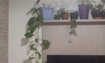 Imagem: Oportunidade de Investimento Apartamento